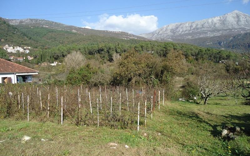 land_sutorina_herceg_novi_top_estate_montenegro