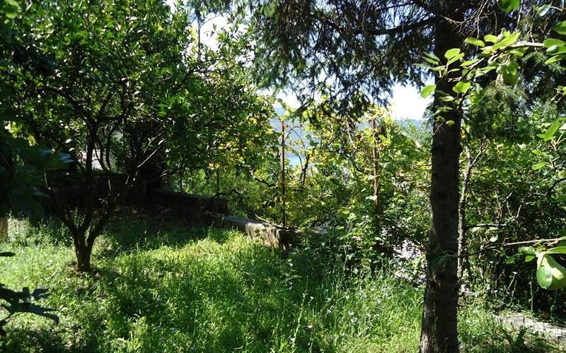 land_zelenika_herceg_novi_top_estate_montenegro