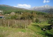 plot_sutorina_herceg_novi_top_estate_montenegro