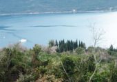 Zemljište sa pogledom na more Zelenika, Herceg Novi