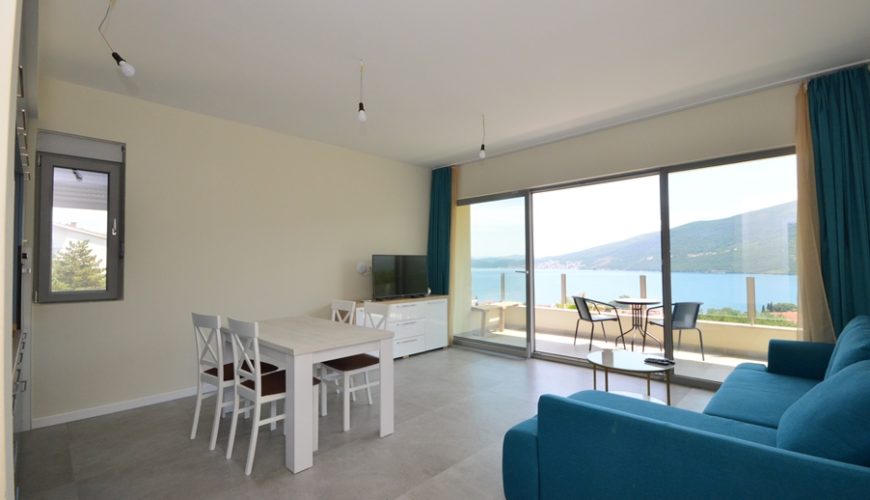 Elegant apartment with sea view in Djenovici